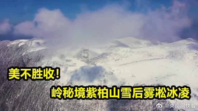 盲目举债上马致巨额亏损,天水为“有轨电车梦”敲响警钟