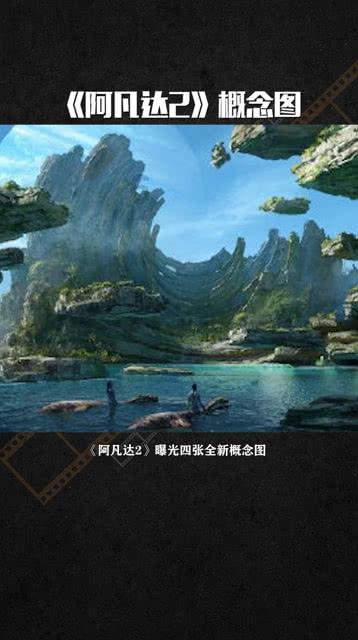细胞分裂6