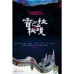 无限试驾2