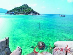 炸弹专家