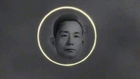 浪浪全身被洒柏油连医生都束手无策,他们不放弃决定自己动手洗