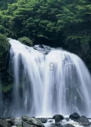 虫虫助手下载