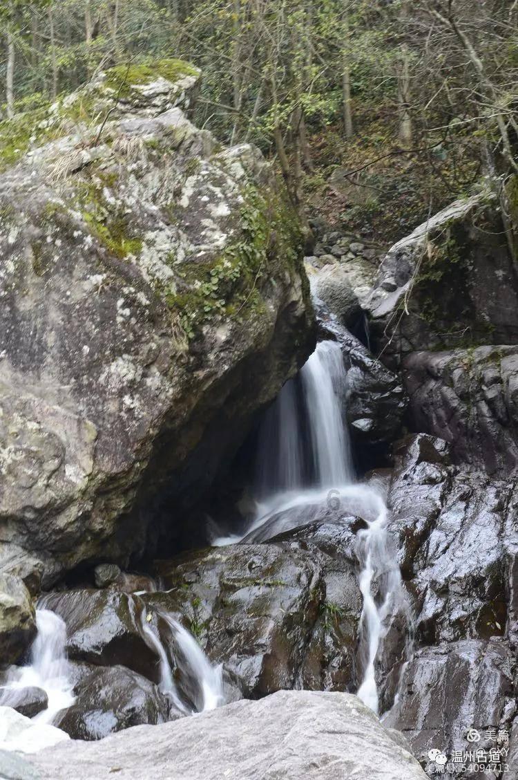 上饶法院新年首场直播走进玉山法院四星级诉讼服务中心
