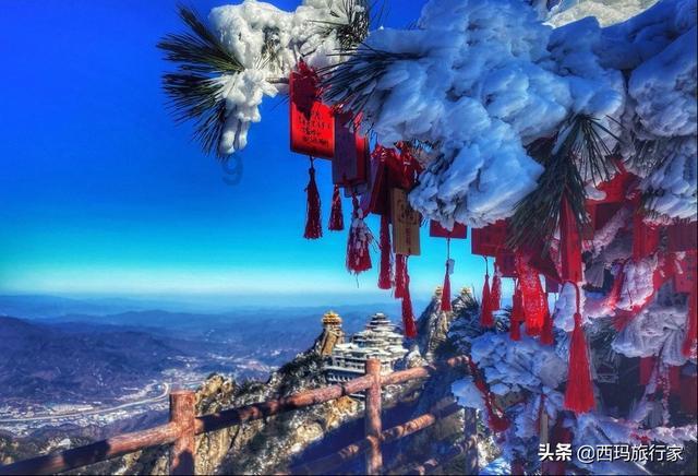 脑洞小老弟无实名认证